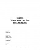 DEGURO AEREO que es la CARGA AEREA