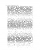 Docencia TEORIA DEL DESARROLLO SEGÚN LEVINSON