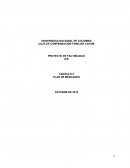 CAPÍTULO 2 PLAN DE MERCADEO