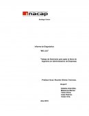 Informe diagnostico ingenieria