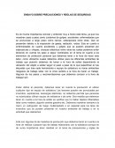 Ensayo sobre precauciones y reglas de seguridad