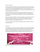 Discusión de resultados microscpía