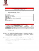 COMO TRABAJA EL; MICRODISEÑO