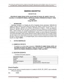 Memoria descriptiva de via de acceso