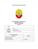 N la naturaleza existen diversa cantidad de fenómenos de los cuales la mayoría pasan desapercibidos por el ojo humano