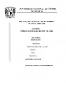 Practica de teoria celular