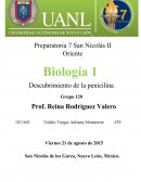 Mientras se estudiaban cultivos de bacterias se notó que accidentalmente, una de las cajas de cultivo se contamino con un moho azul llamado Penicillium, sin embargo