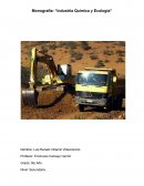 Monografía sobre la industria química y la ecología