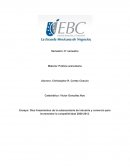 Diez lineamientos de la subsecretaria de industria y comercio para incrementar la competitividad 2008-2012