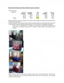 Nano particulas de cobre