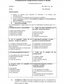 Test veronica decide morir