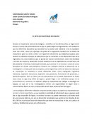 El Reto De Investigar En Equipo ENSAYO