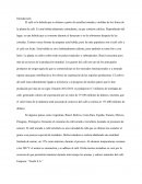 El café es la bebida que se obtiene a partir de semillas tostadas