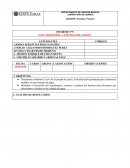 Determinar mediante el uso de la prueba de jarras, la dosificación apropiada para eliminar la turbidez en una muestra de agua