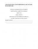 Ensayp DE UN COLEGIO DE EDUCACION PROFESIONAL DEL ESTADO DE QUERÉTARO