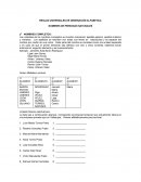 REGLAS UNIVERSALES DE ORDENACIÓN ALFABETICA