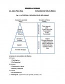 Teoria de desarrollo