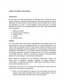 Analisis caso latinoamerica