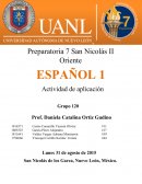 Prueba Expresa ideas y conceptos mediante representaciones lingüísticas, matemáticas y gráficas
