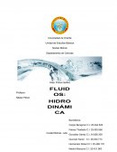 Hidrodinamica