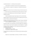 SISTEMA DIGESTIVO