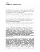 La gran Importancia en las organizaciones