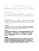 Características de los seres vivos