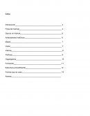 Manual para usar aspel sae