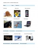 EVIDENCE PERSONAL LIKES