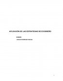 APLICACIÓN DE LAS ESTRATEGIAS DE ECODISEÑO