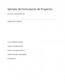 LA nueva Formulacion y evaluacion de proyecto