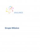 Análisis Grupo México 2013