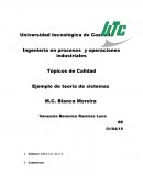 Robotica Ingeniería en procesos y operaciones industriales