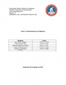 EN QUE CONSISTIO EL CICLO DE LA APO