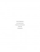 Para llevar a cabo una actividad como a la que demostraremos más adelante
