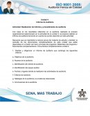 Como es la Realización del informe y procedimiento de auditoría