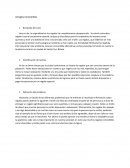 Arreglos Comestibles