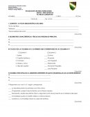 Prueba "El pirata garrapata"