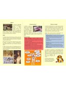 El alcoholismo, trae grandes consecuencias en el aspecto social