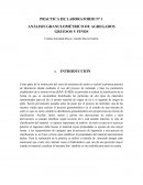PRACTICA DE LABORATORIO N° 1 ANÁLISIS GRANULOMÉTRICO DE AGREGADOS GRUESOS Y FINOS