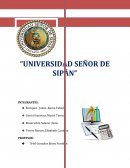 MONOGRAFIA GRUPAL SISCONT1415