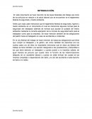 REGLAMENTO FEDERAL DE SEGURIDAD, HIGIENE Y MEDIO AMBIENTE