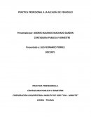 PRACTICA PROFESIONAL 1 CONTADURIA PUBLICA VI SEMESTRE