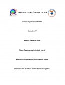 Resumen de brujula moral