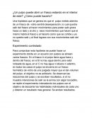 Un pulpo puede abrir un frasco