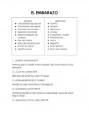 Manual de la embarazada