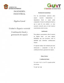 Combinacion lineal y generacion de espacios. Página 1