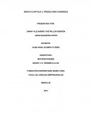 Ensayo de macro PRODUCCIÓN E INGRESOS