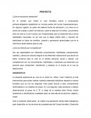 Proyecto de preescolar ¿Qué es educación preescolar?