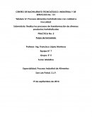 PRACTICA No. 2 Pulpa de tamarindo